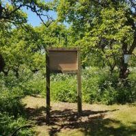 Large Noticeboard